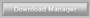 Download Manager button